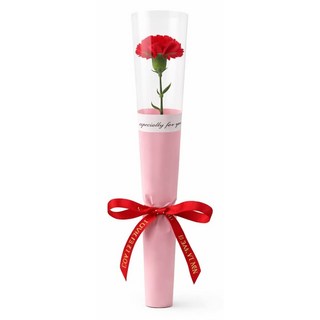 鮮花紅玫瑰花束 贈送禮品, (35cm)紅康乃馨單支香皂花花束, 1件