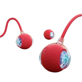 제이셀르 자동으로 움직이는 반려동물 장난감 강아지 자동 공놀이 장난감, 레드, 1개