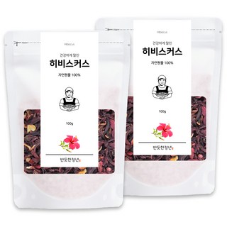 1+1 반듯한청년 히비스커스 티 100g 2봉 리필팩 차, 2개, 1개입