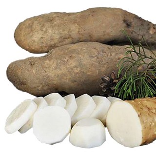 안동마 참마 마사토 산마 5kg 3kg [산지직송] 마 안동참마 생마 / 산들정, 1개, 5kg (알뜰)