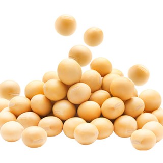 백태 수입콩(미국산) 4.5kg 수입산 원적외선 빛살균 살균한콩 백태 메주콩/콩국수콩/두부콩, 4.5kg(1개), 1개