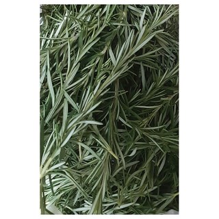 야채왕 로즈마리 1팩 10g 허브 생잎, 1개