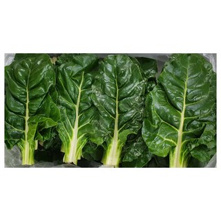 야채왕 근대 1KG / 4KG(3.8~4kg) 박스, 1개, 근대 1kg 무배