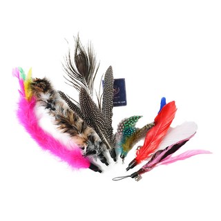 딩동펫 고양이 낚싯대 리필 깃털 6종 세트, B, 1세트