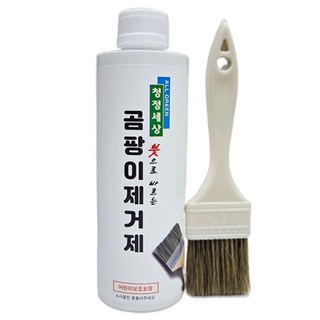 붓으로바르는 청정세상 곰팡이제거제 (붓포함), 500g, 1개