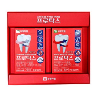 프로탁스 부광약품 120정 4개월분 치아와 뼈건강을 한번에, 2개(8개월), 1개