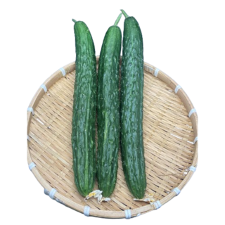 국산 여름제철 가시오이10kg 대용량 식당추천 제철야채 여름과일 오이반찬, 1개, 가시오이5kg못난이