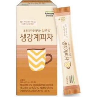 올가 풀무원 생강계피차 13g, 20개입, 1개