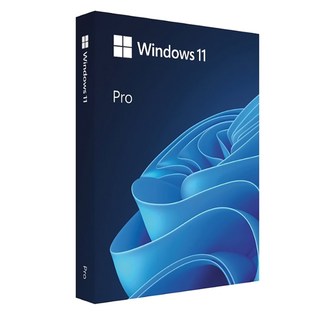MS정품인증점 Windows 11 Pro FPP 한글 처음사용자용 영구사용