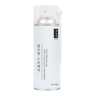 청소신 방수핏 스프레이 420ml tr 투명, 1개