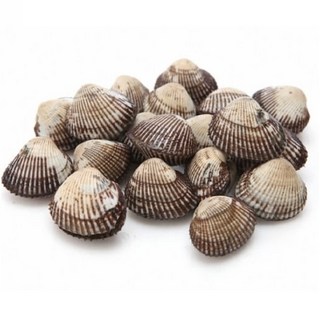 벌교꼬막 새꼬막 피꼬막 당일발송, 1개, 새꼬막2kg소 240미내외 4인 반찬요리)