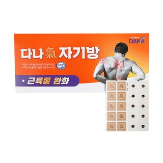[다나] 다나 자기방 파스 국내 제조 생산 기 자기장 자기방 氣 파스 근육통 완화 힐링 오리지날 자석 쿨 찜질 건강 패드 파스, 1개