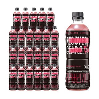 링티 리커버리 기어2 자몽오렌지맛, 24개, 500ml