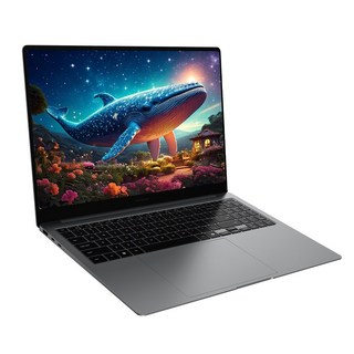 삼성전자 갤럭시북5 프로 NT960XHA-K52A 인텔 울트라5 16인치 고해상도 AI 코파일럿+ 윈도우11 터치스크린 직장인 대학생 노트북, WIN11 Home, 32GB, 2TB, 그레이