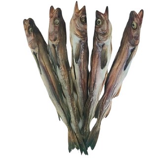 강원도 국내자연건조 언바람 묵호태 프리미엄 명품 고사용 북어 통북어 특대 48~52cm 10미 먹태, 1개, 특대(48~52cm)