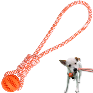 LETOJ 강아지 원형 터그놀이, 1개, 오렌지