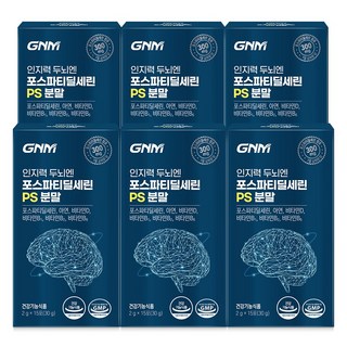 GNM 인지력 두뇌엔 포스파티딜세린 PS 분말, 6개, 30g