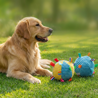 반려동물 애견 터그볼 장난감 2종, 1세트, 블루+블루&옐로 배치