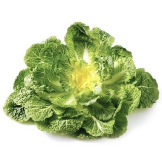 [오늘야채]국내산 봄동 진도 완도, 10kg, 1박스, 10kg