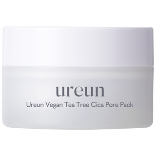 유아른 비건 티트리 시카 모공팩 100g, 1개, 1개입