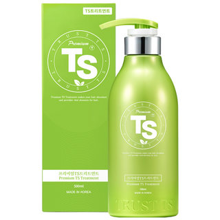 TS 프리미엄 모발영양케어 트리트먼트, 500ml, 1개
