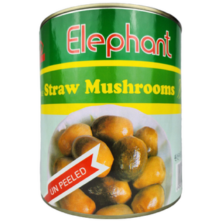 명진 코끼리표 초고버섯 2.84kg, 1개