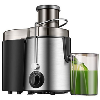 닝타우스 스테인리스 가정용 믹서 분리 과즙기, ALW-J01