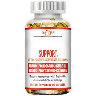 건강지원 보충제 - 중성지방 LDL HDL 자연증가 천연추출 건강한 신진대사의 균형, 60캡슐, 1개, 60정