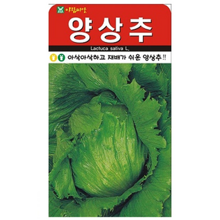 아람종묘 양상추 씨앗 1000p, 1개