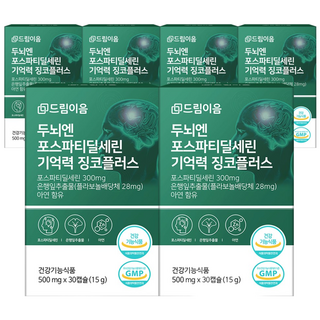 드림이음 두뇌엔 뇌영양제 포스파티딜세린 식약처 인증 기억력 징코 은행잎추출물, 6개, 30정