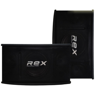 노래방 스피커 REX 시리즈 3종(6/8/10인치) 매장 카페 업소 가정용 1조(2개) YCSM, 10인치 (RX-100)