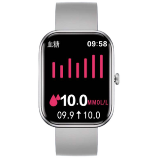 비침습혈당측정기 연속혈당측정기 연속혈당계 24시간, 실버 (독일 무브먼트) 고정밀 측정