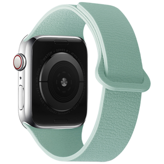 애플워치 S11 호환 리치 가죽 무늬 실리콘 마그네틱 루프 스트랩 42/44/45/46/49mm, 민트