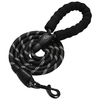 빈앤코 스트롱 중대형견 베이직 리드줄, 블랙, 1개