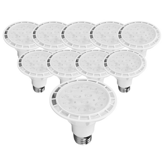 라인조명 LED에코 파30램프 15W PAR30 집중형 확산형, 10개, 5. 집중형 전구색(노란빛)