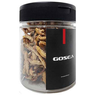 GOSEA 대용량 동결건조 지렁이 미끼 청지렁이 홍지렁이 바다 낚시 갯지렁이, [대용량] 홍갯지렁이, 1개