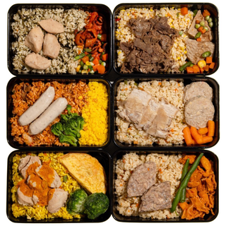 샐그램 단백식사 12팩(6종x2팩) 2주 다이어트 도시락 냉동 벌크업 맛있는 간편 탄단지 식단 볶음밥, 269g, 12개