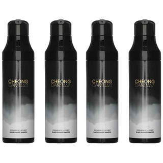 청담스타일 포레스트 블랙체인지 샴푸 흑갈색 4개, 200ml