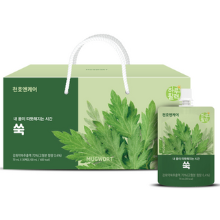 천호엔케어 내 몸이 따뜻해지는 시간 쑥 진액, 2.1L, 1개