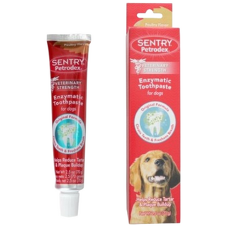 페트로덱스 반려견용 치약, 70g, 1개