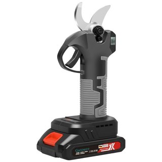 5. 라피컷 빠른 반..