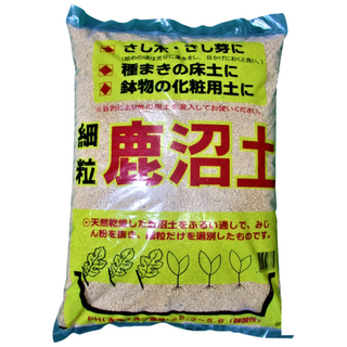 가누마 (녹소토/가정원예 특별판) 삽목용 (SS) 1등급, 1개, 16.9L