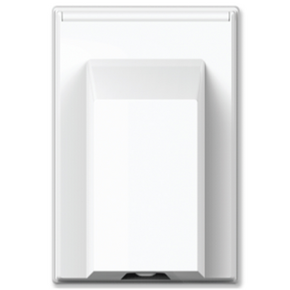 艾斯 直式防雨插座 1孔, 1個