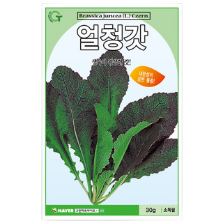갓 씨앗 모음 30g, 얼청갓씨앗 추위에강한 얼청갓 30g, 1개