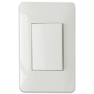 올판 1구 스위치, 1개