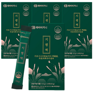 에버비키니 2중기능성 차전자피 가르시니아 다이어트보조제 지평책, 14회분, 4개