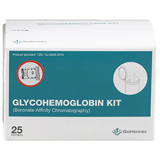 BioHermes 당화혈색소측정스트립 HbA1c 글리코헤모글로빈측정 A1cEZ 시험지, 1개입, 1개