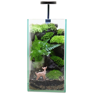 다우림 숲 테라리움 키트 DIY 비단이끼 비바리움, 1개