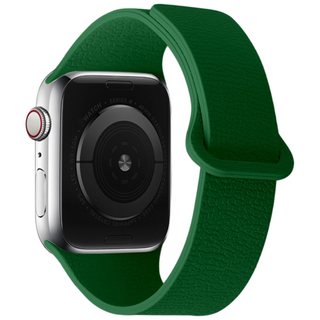 애플워치 S11 호환 리치 가죽 무늬 실리콘 마그네틱 루프 스트랩 42/44/45/46/49mm, 그린
