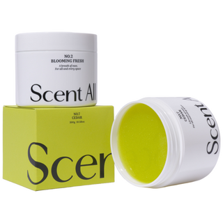 센트올 실내탈취제 시더향 화장실 담배 새집증후군 실내 집안 홀애비 옷장 냄새 제거, 300g, 4개